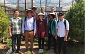 Triển vọng hợp tác nghiên cứu chọn tạo giống cây trồng giữa Học viện Nông nghiệp Việt Nam và CUBA