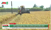 Việt Nam đặt mục tiêu giảm xuất khẩu gạo