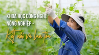 Phim Khoa học công nghệ nông nghiệp - Kết nối và lan tỏa