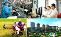 Thủ tướng quyết định thành lập Hội đồng Tư vấn chính sách