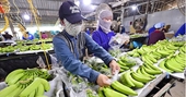 Nông sản giữ vai trụ cột xuất khẩu trong 4 tháng đầu năm