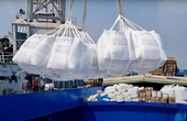 Xuất khẩu gạo tận dụng khoảng trống ở thị trường Hoa Kỳ