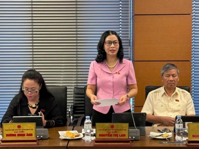 Giám đốc Học viện Nông nghiệp Việt Nam nói về sự cần thiết thành lập trung tâm tài chính quốc tế