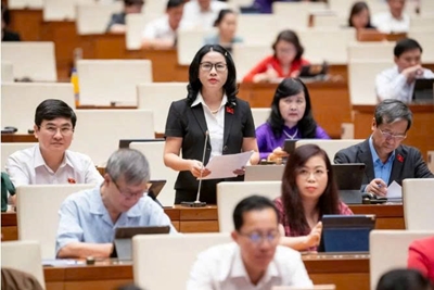 Đại biểu Quốc hội đề xuất các giải pháp thúc đẩy xuất khẩu nông sản