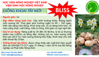 Viện Sinh học Nông nghiệp giới thiệu giống khoai tây mới BLISS