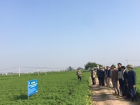 Hội nghị đầu bờ “Mô hình sử dụng chế phẩm vi sinh vật quang dưỡng trong sản xuất cà rốt tại Cẩm Giàng, Hải Dương”