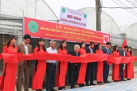 Nhìn lại hành trình dự án Khoai tây quê hương tại Việt Nam