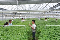 Chương trình đào tạo ngành Công nghệ sinh học chất lượng cao ở Học viện Nông nghiệp Việt Nam