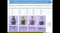 Seminar trực tuyến của nhóm Nghiên cứu mạnh Cây màu Lần 1 – 2021