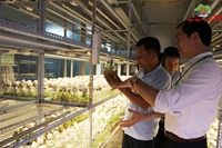 Đoàn công tác huyện Quốc Oai tham dự hội thảo về phát triển nông nghiệp tại Học viện Nông nghiệp Việt Nam