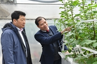 Orion Thúc Đẩy Đầu Tư Sản Xuất Giống Khoai Tây Bliss Tại Việt Nam