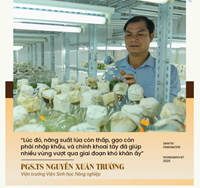 Cái bắt tay với Đại Bàng đưa thứ củ cứu đói thành nông sản triệu USD