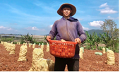 Du học dang dở, 9x về quê làm nông nghiệp thu tiền tỷ