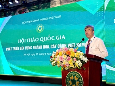 Đẩy mạnh tín dụng và cơ chế đầu tư cho ngành hoa, cây cảnh để khai thác hết tiềm năng sẵn có
