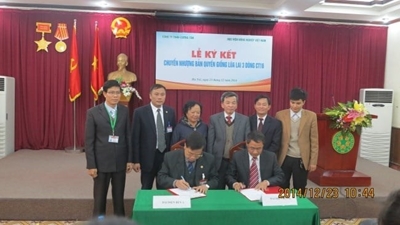 Gặp một trong những người tạo ra giống lúa của Việt Nam đang gây bão ở Cuba, vì sao giống lúa này được trồng ở Cuba