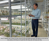 Canh tác không đất trong nghiên cứu giống khoai tây