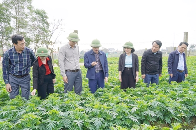 Phó Chủ tịch UBND tỉnh Lê Văn Bảo kiểm tra tiến độ sản xuất vụ Đông Xuân 2025 - 2026 trên địa bàn tỉnh