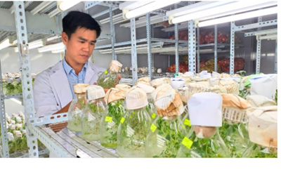Từ cánh đồng đến chuỗi giá trị snack khoai tây tươi