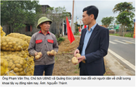 Khoai tây Atlantic bén rễ đất Quảng Đức