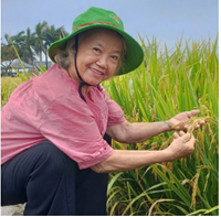 PGS TS nổi tiếng này là người tạo ra bước ngoặt cho dòng lúa lai Việt Nam, là Anh hùng Lao động