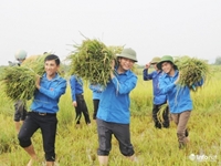 Báo cáo tóm tắt kết quả đề tài nghiên cứu cấp Học viện do dự án Việt Bỉ tài trợ năm 2020
