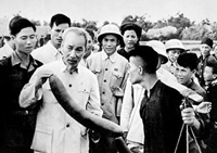 Quan điểm của Chủ tịch Hồ Chí Minh về mối quan hệ giữa nông nghiệp và công nghiệp trong phát triển kinh tế