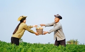 Vấn đề giới trong nông nghiệp và phát triển nông thôn Việt Nam