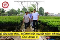 Một số nội dung quản lý nhà nước về phát triển nông thôn