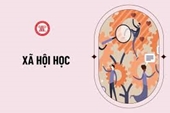 Cơ hội việc làm của ngành Xã hội học