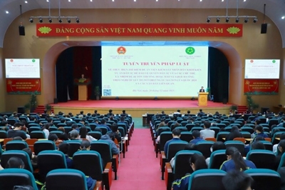 Tuyên truyền pháp luật cho sinh viên Học viện Nông nghiệp Việt Nam thông qua phiên tòa giả định