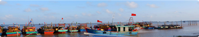 Quan hệ giới và sinh kế nghề cá Góc nhìn từ thực tiễn và những kết quả bước đầu
