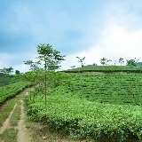 Ngày hội Sống Xanh tại huyện Thanh Sơn tỉnh Phú Thọ