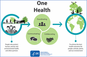 One Health - A holistic approach to improving food safety