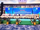 Information Technology Education in the Context of Promoting AI Applications and Sustainable Development Conference