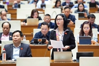 National Assembly Deputy Nguyen Thi Lan Special mechanisms needed to attract human resources for agriculture