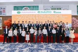 Promoting Low-Carbon Rice Production through a Japan–Vietnam Partnership Integrating Science with Business Innovation