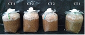 Some research results on the growth and development of Black Ganoderma at Vietnam National University of Agriculture