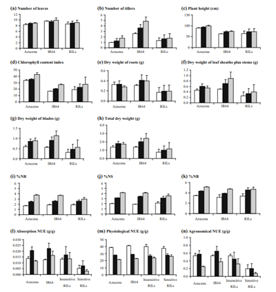 QTL mapping for nitrogen use efficiency and related physiological and ...