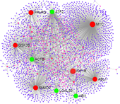 Combining multi-OMICs information to identify key-regulator genes for pleiotropic effect on fertility and production traits in beef cattle