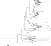Genomic characterization of three Vietnamese indigenous chicken varieties using mitochondrial D-loop sequences