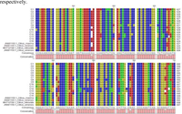 Genetic diversity and genetic relationship of Vietnamese Citrus varieties using internal transcribed spacer region ITS