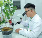 Học viện Nông nghiệp Việt Nam Đào tạo chuyên gia tư duy xanh, kỹ năng số