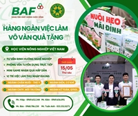 BAF VIỆT NAM