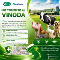 CÔNG TY TNHH THƯƠNG MẠI VINODA