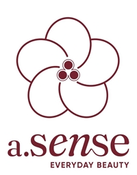 CÔNG TY TNHH DỊCH VỤ ASENSE