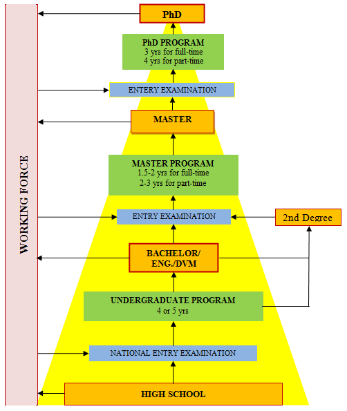 Education Structure