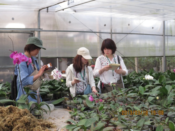 Kobe Exchange Students