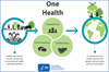 One Health - A holistic approach to improving food safety