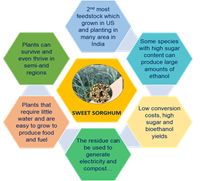 Sweet sorghum and nanotechnology breakthrough solutions in bioethanol production for sustainable development