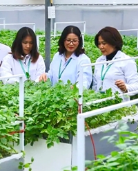 Championing Women in Scientific Research in Viet Nam